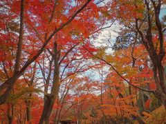 -常寂光寺