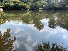 -杭州植物园