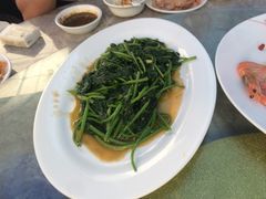 番薯苗-四川小胡子海鲜(丁村万人海鲜广场店)