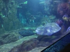 -上海海昌海洋公园-停车场