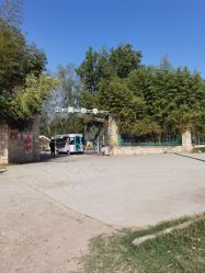 -上美四季动物农场