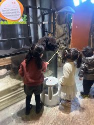 -酷嗒动物文化乐园(cutezoo西溪乐天城店)