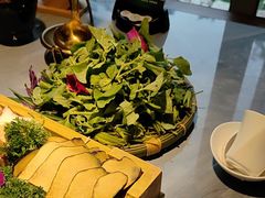 -慢丽江·云南野生菌土鸡锅(付家庄店)