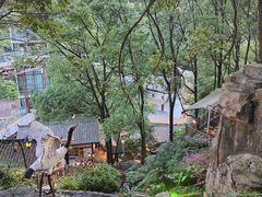 -巴倒烫陆派重庆火锅(南山店)