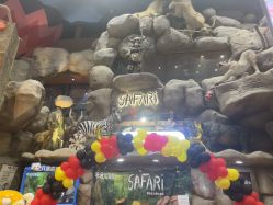 -卡通尼·Safari非洲探索乐园·生日会(金桥国际商业广场店)