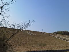-佛手湖郊野公园