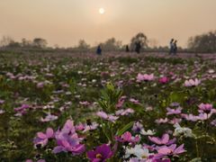 -汉长安城未央宫国家考古遗址公园
