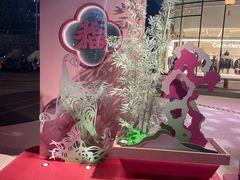 -深圳来福士广场