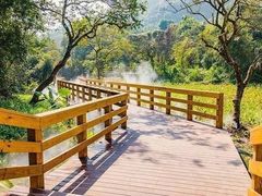 -阳台山森林公园