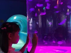 -苏州海洋馆