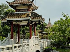 -顺峰山公园