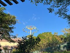 -香港海洋公园