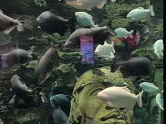 -成都浩海立方海洋公园