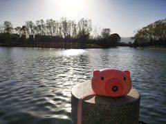 -森林公园(尖草坪区)