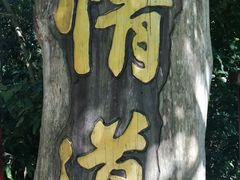-海南霸王岭国家森林公园