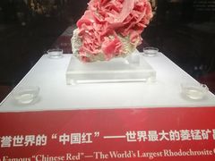 -湖南省地质博物馆