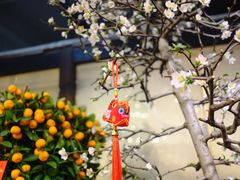 -双季花艺园艺市场(浦东店)