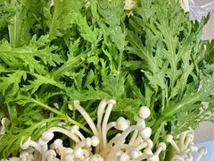 -蝎王府羊蝎子(西直门店)
