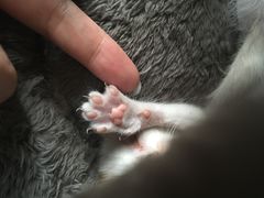 -五月木作·DIY木作文创体验店(北京路店)