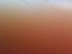 奶酥条-上海哈尔滨食品厂(淮海中路店)