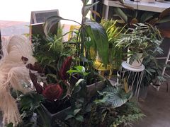 -隹木咖啡馆(宝龙广场店)