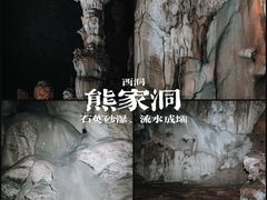 -百色大石围天坑群