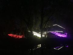 -成飞公园