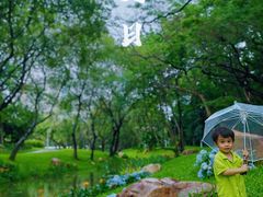 -人民公园(罗湖区)