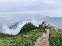 -白草畔自然风景区