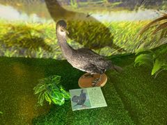 -下渚湖国家湿地公园科普馆