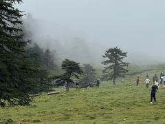 -芦芽山旅游度假区