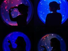 -多彩贵州城极地海洋世界