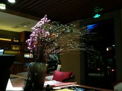 -南京夜泊秦淮君亭酒店·金陵书画院