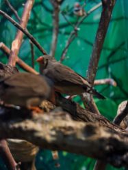 -Zoolung Zoolung动物主题公园(海信广场店)