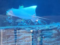 -醉小酒馆·川菜·江湖菜·重庆菜(观音桥旗舰店)