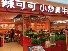 -辣可可·小炒黄牛肉(望京凯德MALL店)