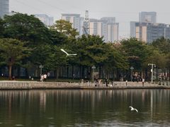 -顺峰山公园