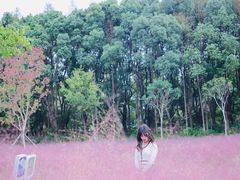 -昆山城市生态森林公园