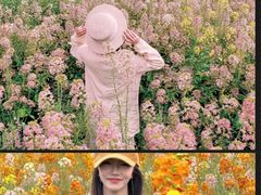 -中国天府农业博览园