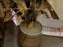 -阿杜打边炉(五江天街店)