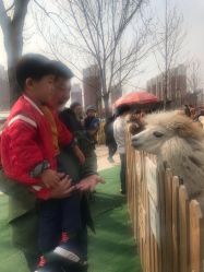 -萌宠亲子动物乐园(槐房万达店)