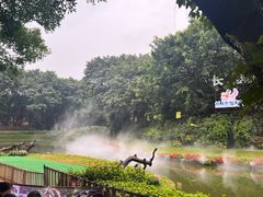 -广州长隆飞鸟乐园