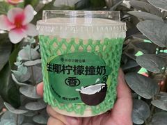 -书亦烧仙草(二七万达广场店)