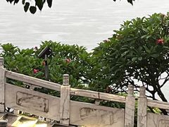 -南宁南湖公园