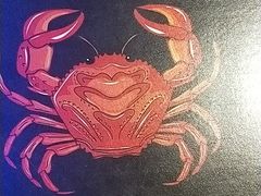 -谢蟹浓·肉蟹煲(新奥店)