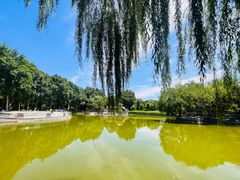 -黄村公园