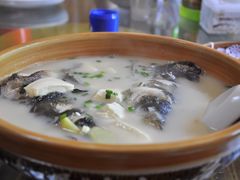 -李东农庄(中南百草园地标店)