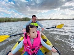 -春花秋色城市公园