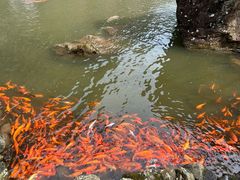 -刘伯温故里景区百丈漈