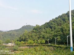-火炉山森林公园